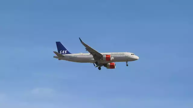 Una rata se subió a un avión de polizonte y lo obligó a aterrizar de emergencia