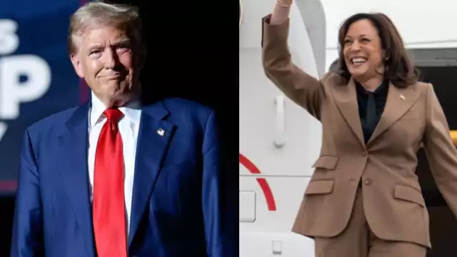 De Taylor Swift a Mike Tyson, qué famosos apoyan a Kamala Harris y Donald Trump