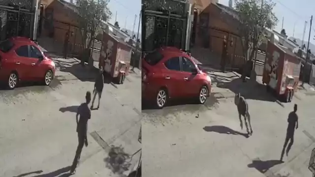 Hombre de la tercera edad fue agredido por una personas en situación de calle, quien enfrenta cargos  en Chihuahua
