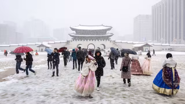 Corea del Sur recibe una de las nevadas más grande de su historia