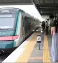 El Tren Maya tendrá un ramal para sus operaciones de carga en Yucatán