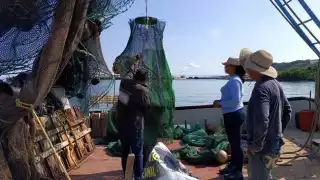 Profepa verifica embarcaciones camaroneras en Campeche para evitar captura de tortugas