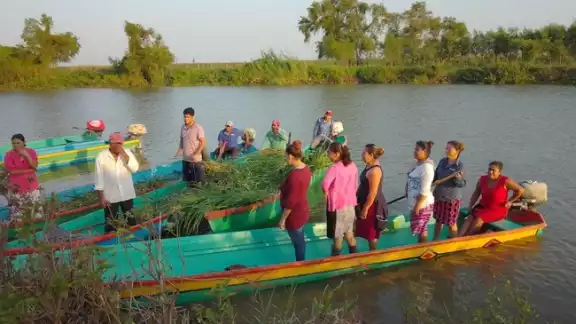 Carmen y Palizada restauran ríos y manantiales con manos comunitarias