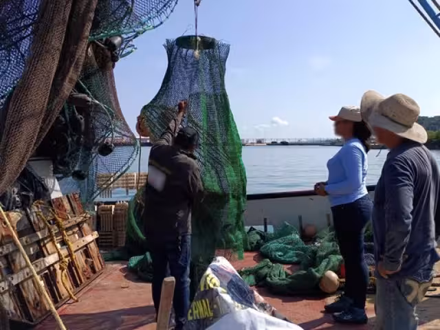 Inspectores de la Profepa realizaron un operativo de verificación en embarcaciones camaroneras del puerto pesquero de Lerma.