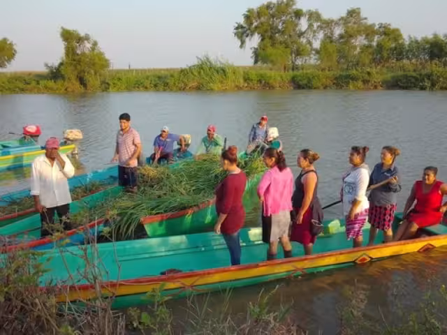 Carmen y Palizada restauran ríos y manantiales con manos comunitarias
