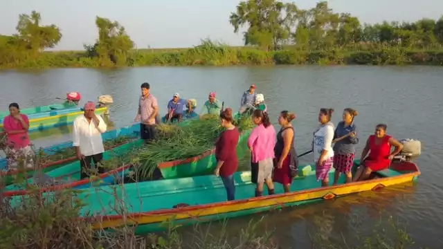 Carmen y Palizada restauran ríos y manantiales con manos comunitarias