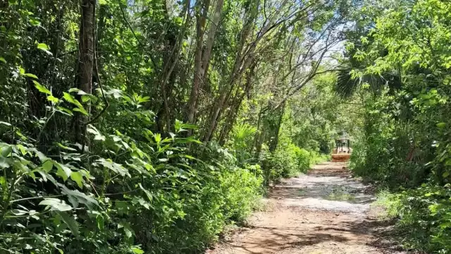 Autoridades confirman reparación de camino que conecta a dos ejidos en Quintana Roo