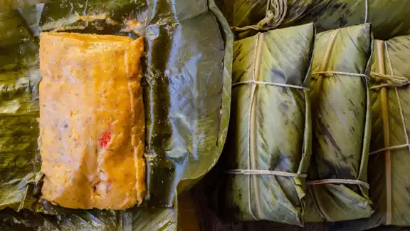La CANIRAC realizará el "Festival del Tamal, Carmen 2025" para incentivar el consumo local La CANIRAC realizará el "Festival del Tamal, Carmen 2025" para incentivar el consumo local