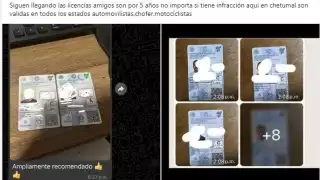 Advierten sobre fraudes de licencias de conducir piratas en Playan del Carmen 