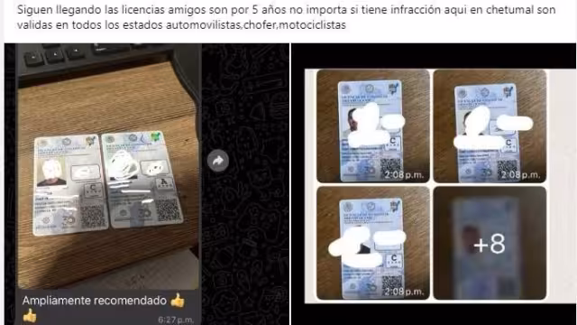 Advierten sobre fraudes de licencias de conducir piratas en Playan del Carmen