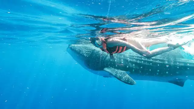 Usuarios deberán acatar las medidas de seguridad al momento de pagar las reservaciones