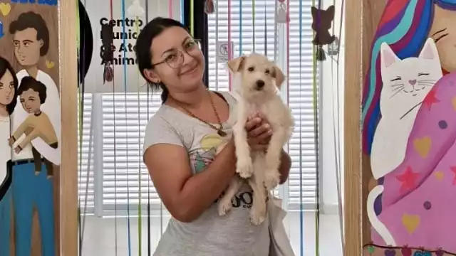 La autoridad busca otorgar una nueva oportunidad y una mejor calidad de vida para las mascotas rescatadas