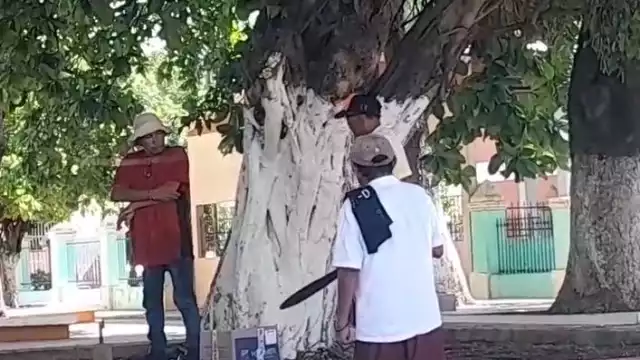 Cansado de robos, abuelito se arma con machete en Calkiní