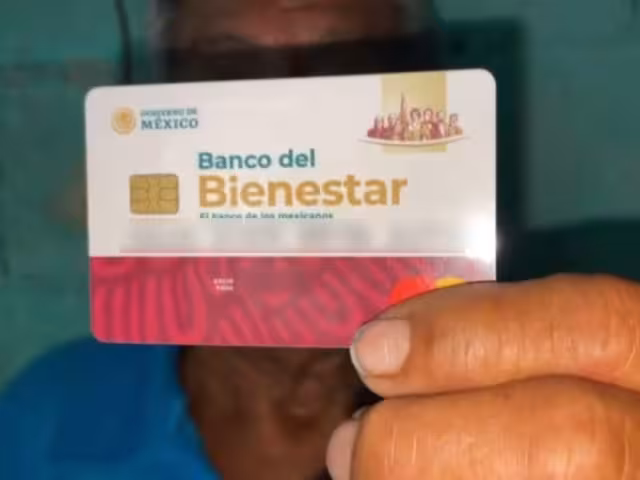 Más de 18 apoyos activos en Campeche: así puedes solicitarlos