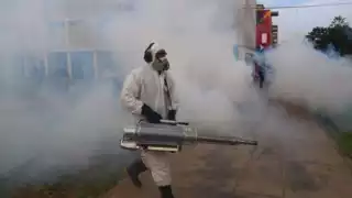 México reporta más de 22 mil casos confirmados de dengue y 49 muertes en lo que va de 2024