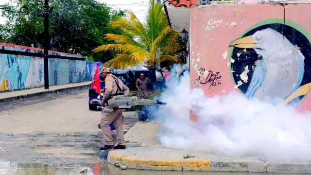Evitar almacenar agua mucho tiempo, limpiar patios y fumigar, son unas medidas de prevención