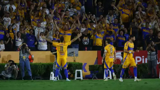 La afición de Tigres explotó cuando cayó el gol de último minuto.