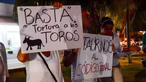 Las manifestaciones en contra de la corrida de toros y pelea de gallos siguen presentes Las manifestaciones en contra de la corrida de toros y pelea de gallos siguen presentes