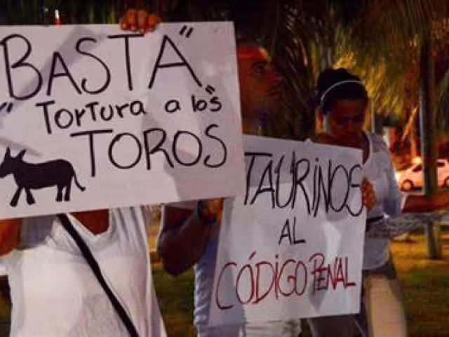 Las manifestaciones en contra de la corrida de toros y pelea de gallos siguen presentes