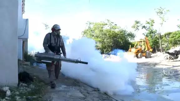 Bajan casos de dengue en Quintana Roo: van 83 en 2025, 10 % menos que en 2024 Bajan casos de dengue en Quintana Roo: van 83 en 2025, 10 % menos que en 2024