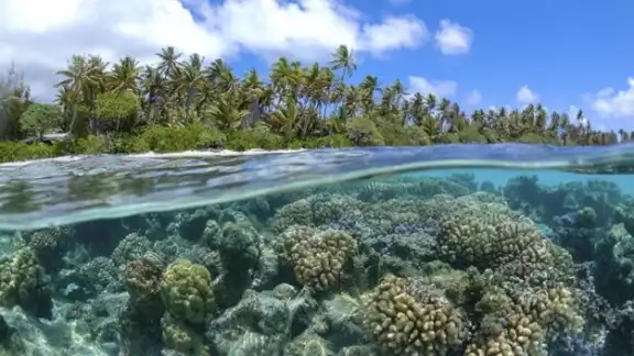 Abarcará más de 4 millones de hectáreas