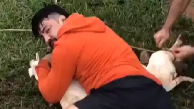 A través de un video en línea se mostró cómo el hombre logró repeler a los caninos