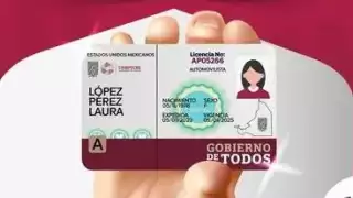 ¿Perdiste tu licencia de conducir en Campeche? Aquí te decimos cómo recuperarla