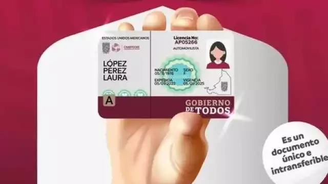 Es importante portar la licencia de manejo