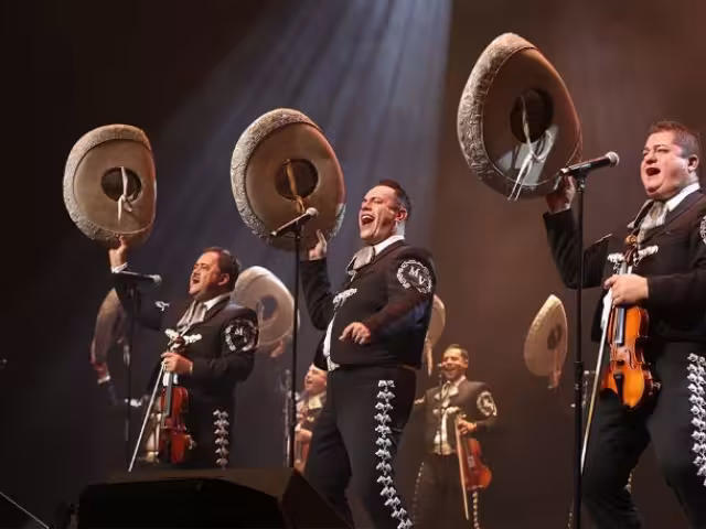 El festival estaba diseñado como un espacio seguro, accesible y familiar, con la intención de resaltar las tradiciones mexicanas