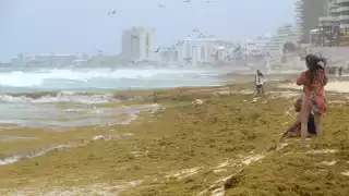 Playa Delfines de Cancún sufre recale de más de cinco toneladas  de sargazo en un sólo día 