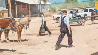 “Coyotes” compran maíz a 6,700 pesos por tonelada en Yalnón, Hecelchakán ante falta de precio oficial