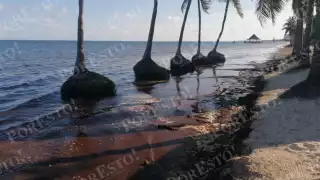 Debido a la erosión en la playa Coral de la orilla se pueden ver las palmeras dentro el mar