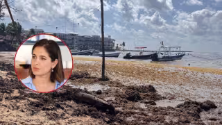 El problema que más pesa fue generado por la macroalga, que disminuyó la recaudación turística.