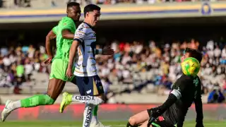 Los felinos dejaron ir dos puntos en casa