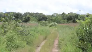 Pobladores de Xkik, Hopelchén, piden investigar irregularidades en programa Sembrando Vida