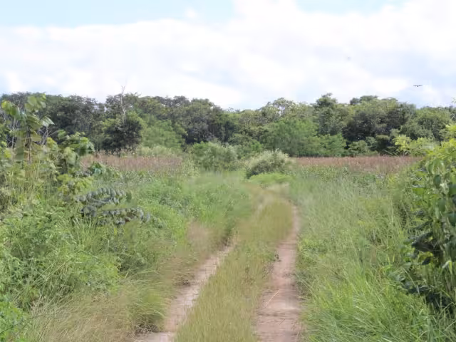 Piden investigar el programa