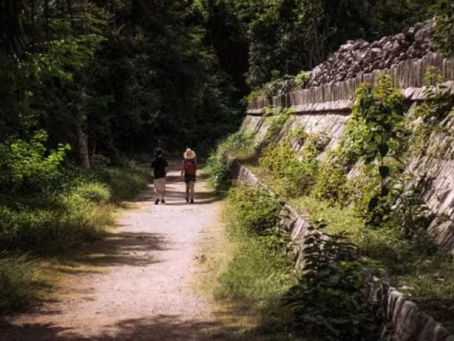 El sitio maya Ocomtún fue descubierto en la región de Calakmul y reportado por el INAH en junio de 2023