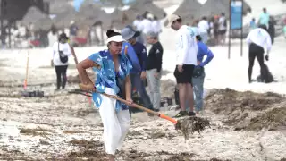  Más de 600 personas  participaron en la megajornada de limpieza de sargazo en playas de Cancún