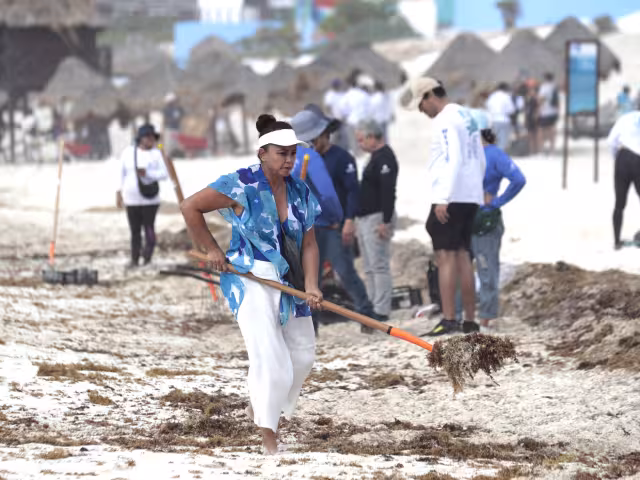 Voluntarios y elementos de la Marina trabajaron en los puntos críticos del litoral