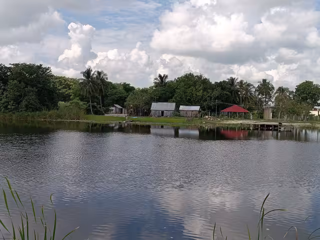 El Canasayab, en Champotón, tuvo registro de 1.22 msnm.