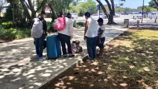 Emotivo reencuentro en el aeropuerto de Cancún: Jagger, un perrito de 10 años y su dueña se reúnen después de tres semanas 