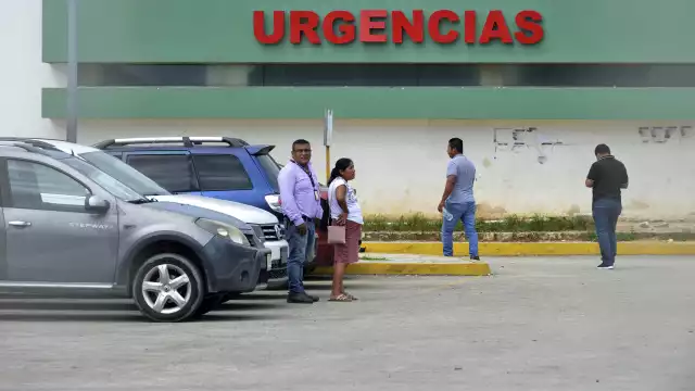 Si la enfermedad es bacteriana, el tratamiento incluye antibióticos, desinflamatorios y mantener hidratado al paciente