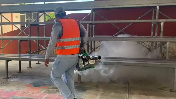 La ciudadanía debe complementar la fumigación eliminando criaderos La ciudadanía debe complementar la fumigación eliminando criaderos