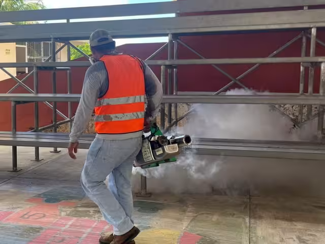 La ciudadanía debe complementar la fumigación eliminando criaderos