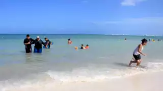 Bañistas nadan entre heces fecales en playa de Cancún 