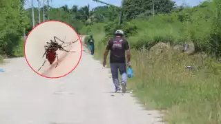 Vecinos denuncian proliferación de mosquitos en colonias de Champotón; temen brotes de dengue 