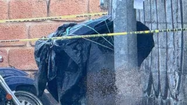 Así lucía el bote de basura donde fueron localizados los restos humanos en Playa del Carmen