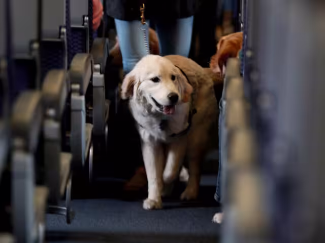 Esto beneficiará a las personas que cuentan con alguna discapacidad o condición de salud mental