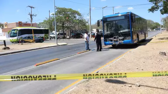 El chofer de la unidad del servicio Va y Ven fue detenido por la SSP. El chofer de la unidad del servicio Va y Ven fue detenido por la SSP.