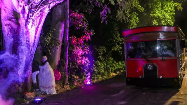 La "Ruta de Las Leyendas" y el "Teatro del Terror" se llevaron a cabo en Hopelchén como parte de las festividades del Día de Muertos